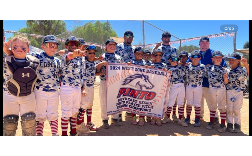 2024 8U Black - Pinto Player Pitch Region Champions